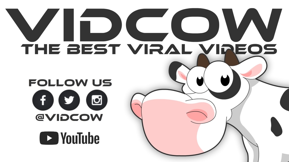 VIDCOW