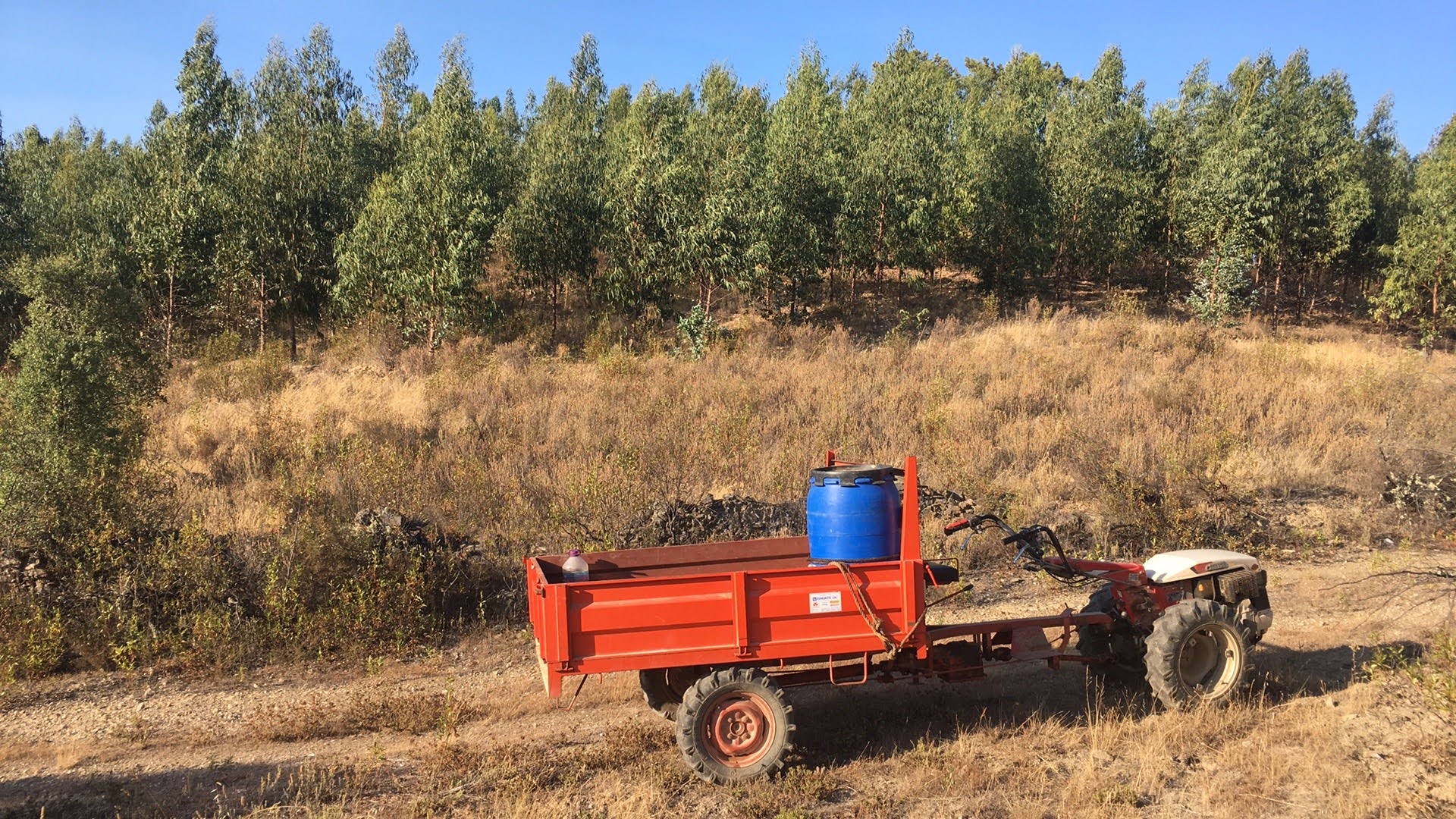 Agriculture with Goldoni and António Carraro