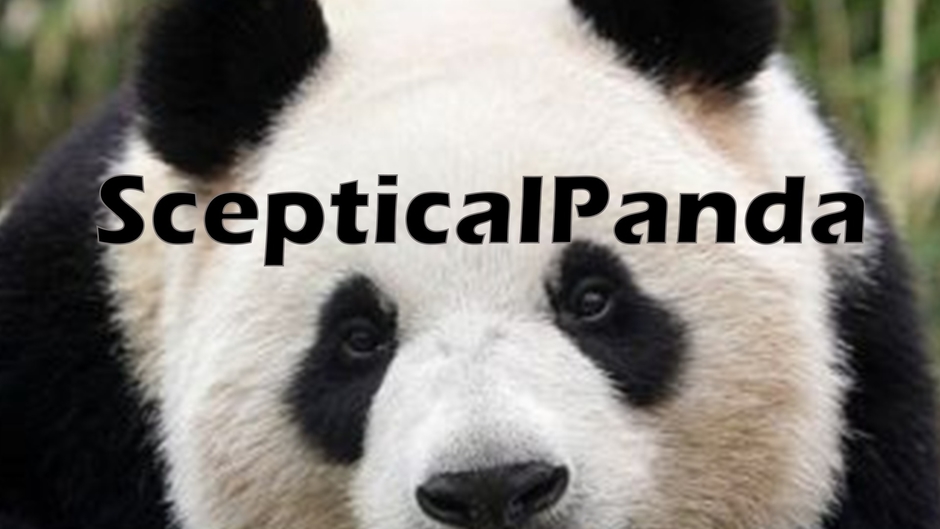 ScepticalPanda