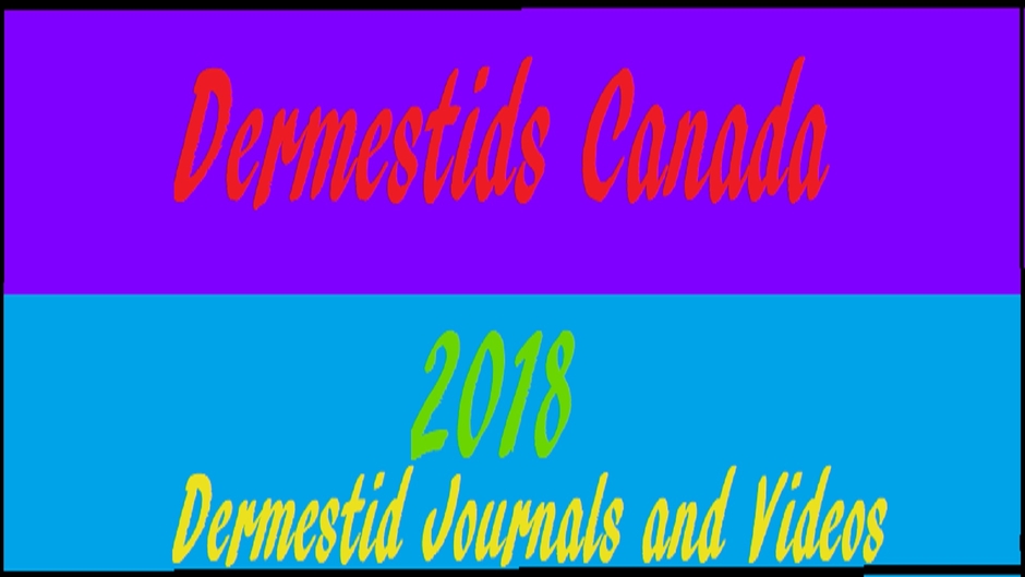 Dermestids Canada