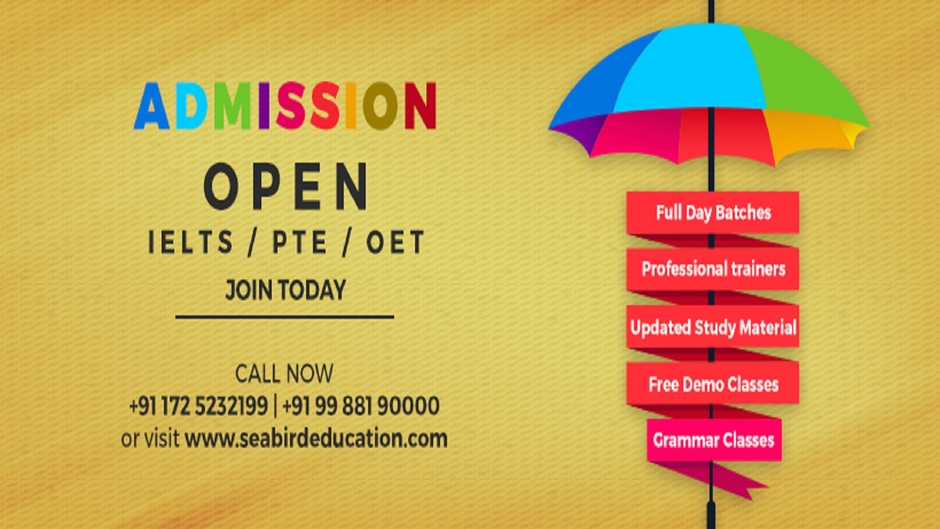 International Seabird