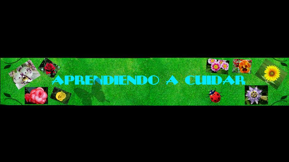 Aprendiendo a Cuidar