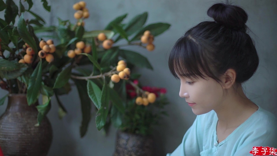Liziqi - 李子柒