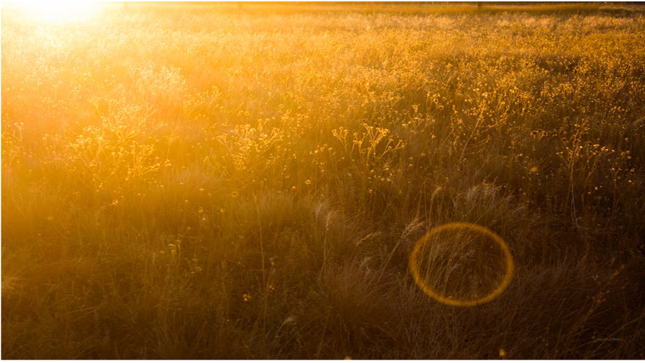 Serene Sunshine ASMR