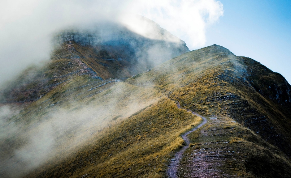 Mennonite Service Venture
