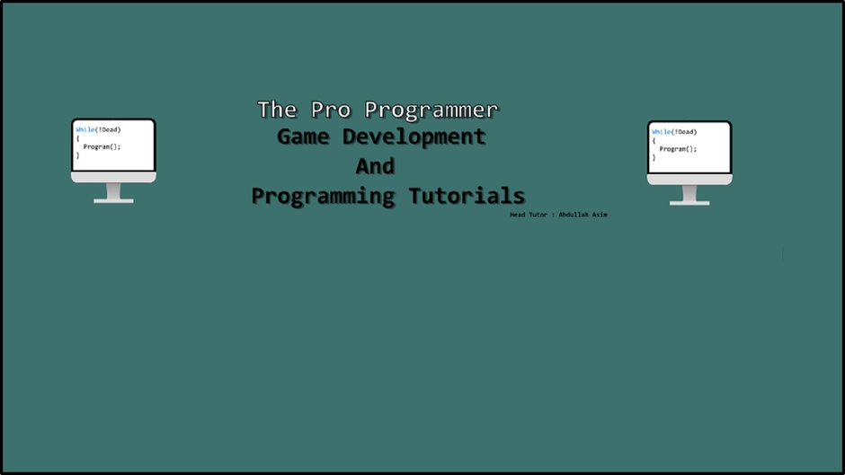The Pro Programmer