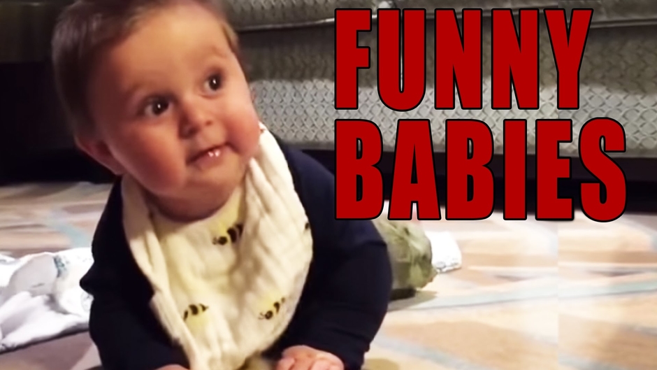 Daily Funny Video Portal