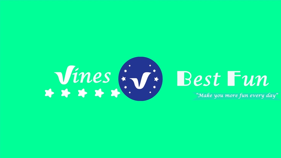 Vines Best Funs