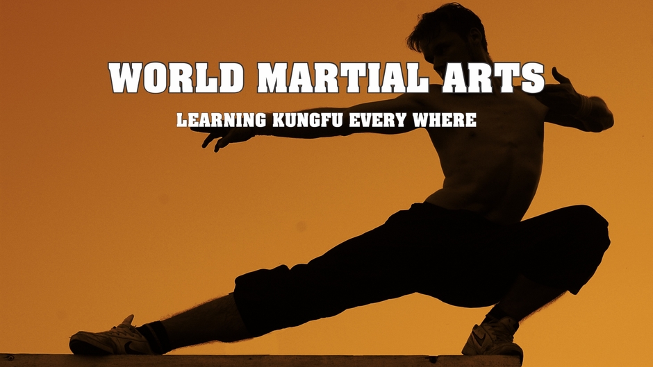 World Martial Arts