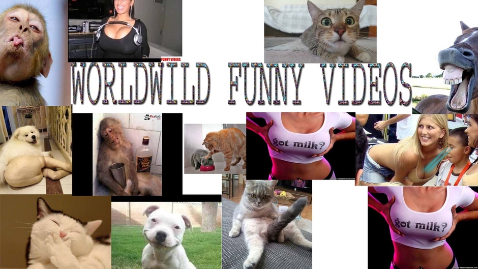 Worldwild funny videos (komal sunny)
