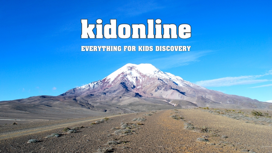 Kid Online