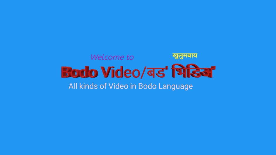 Bodo Video