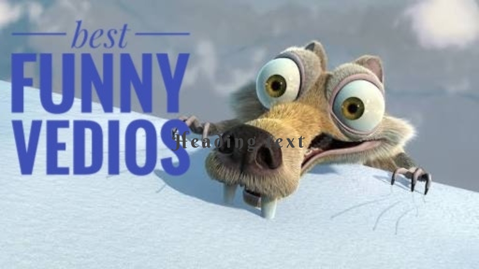 Best funny vedios