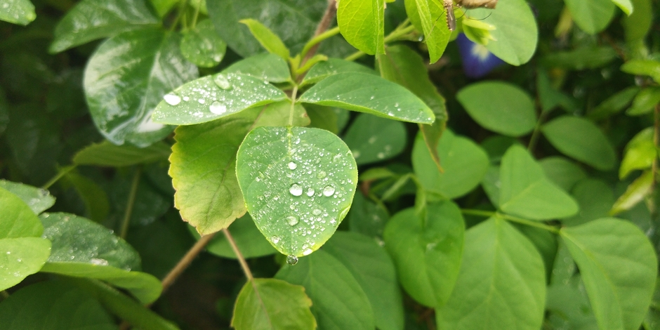 Eat all spritual energy