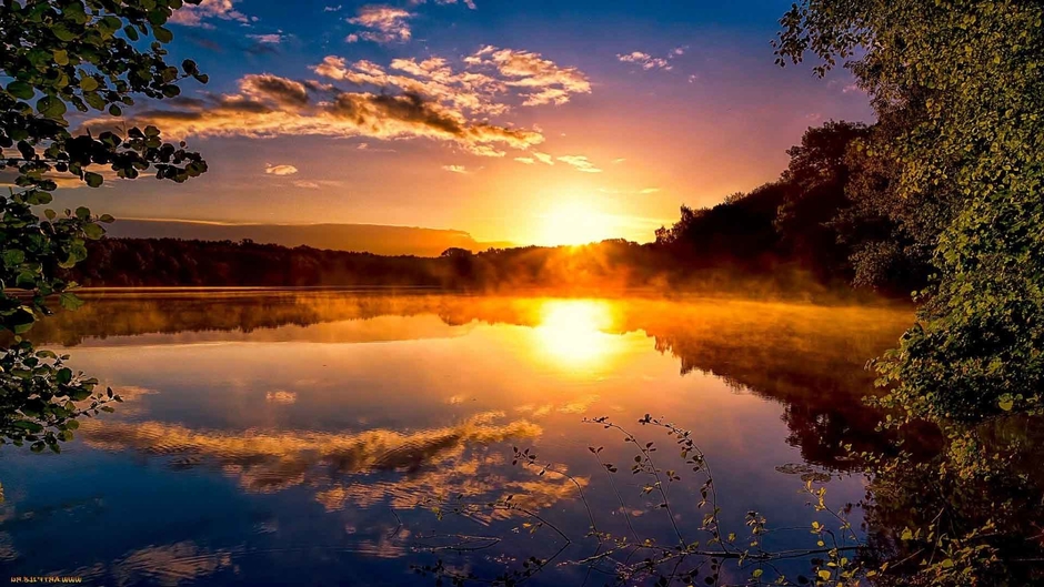 Homeland Season 7 [Online Streaming]