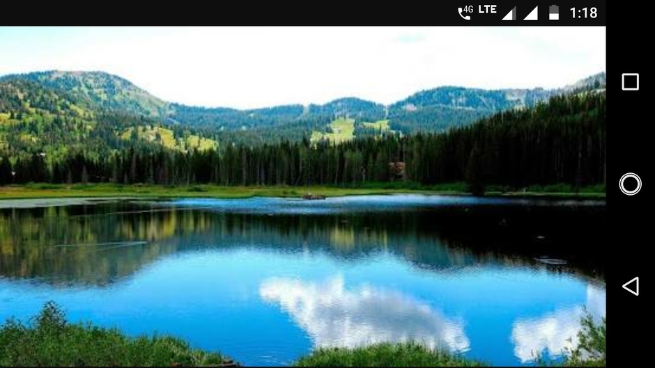 WhatsApp status buddy