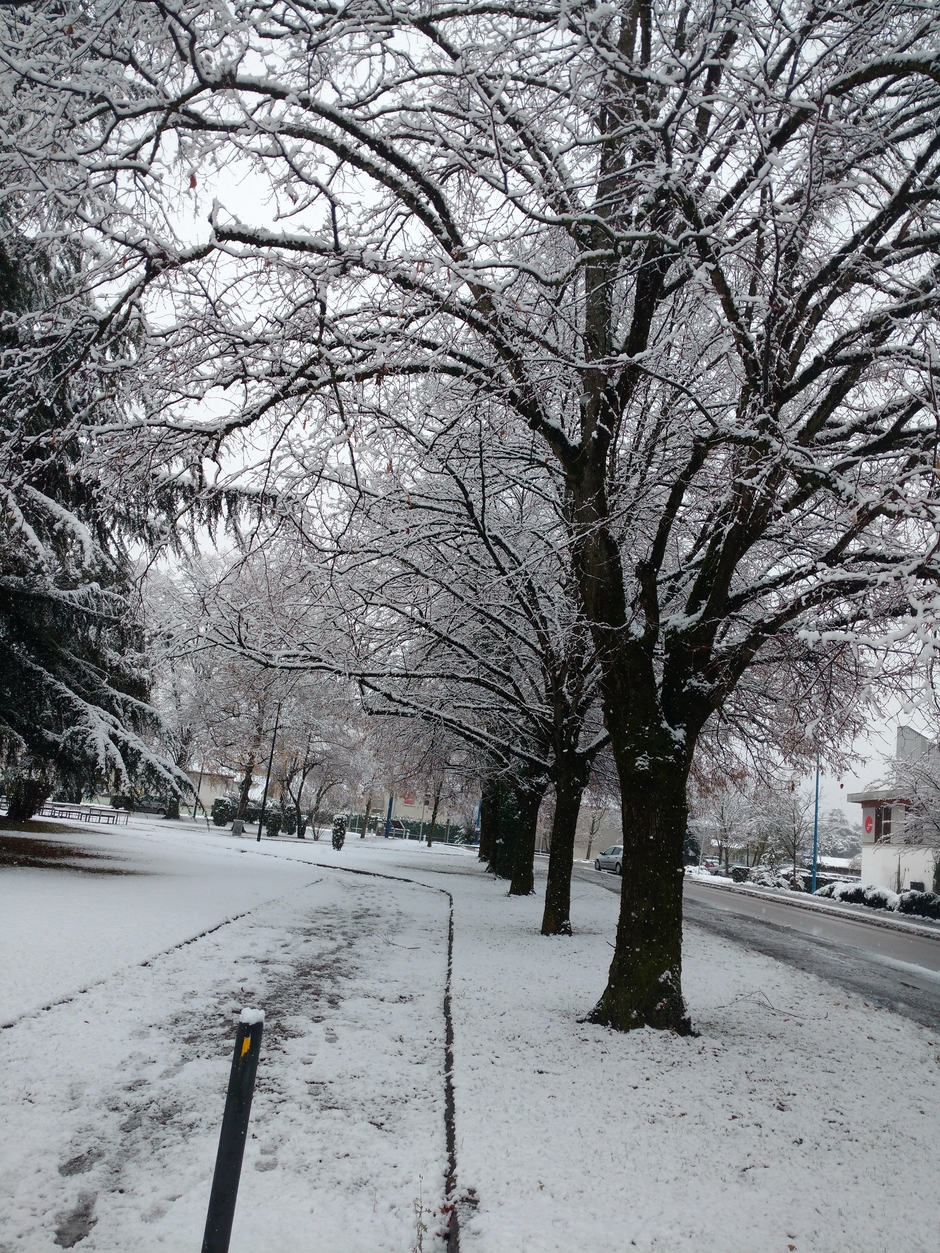 Funny Pets and Animals!!!!