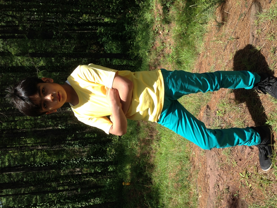 funny videos Sham idrees