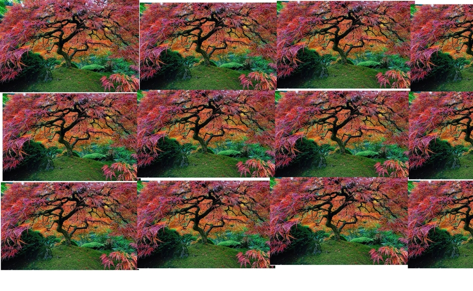 인천오피 opSs9 닷 컴 인천건마 오피쓰