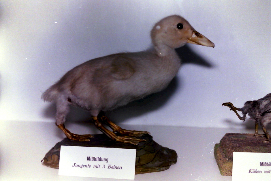 Alte Hörspiele by Thomas Krohn - Thema