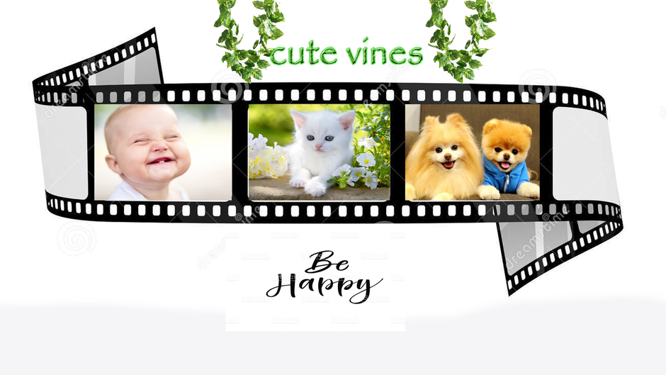 cute vines
