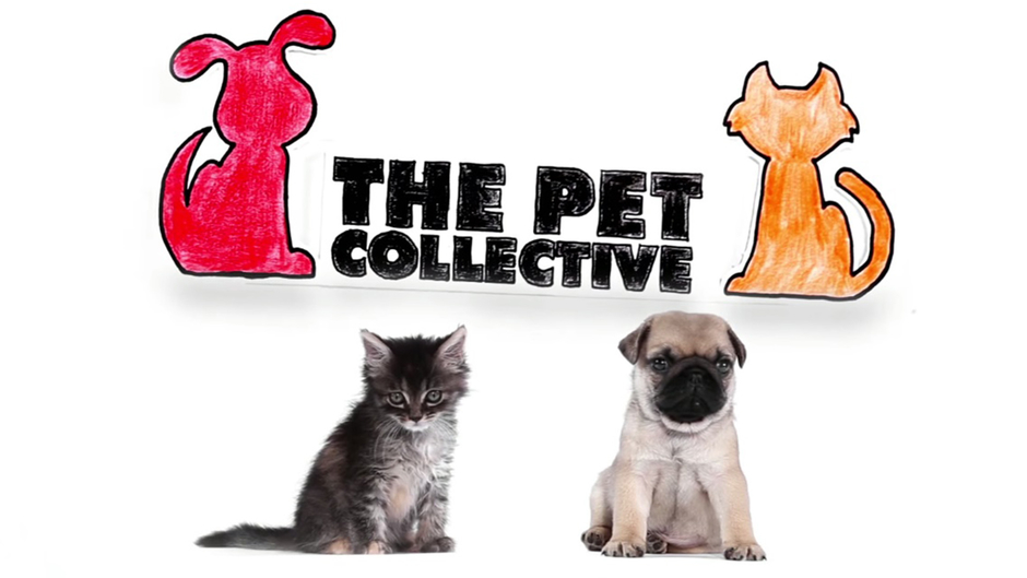 The PET Collective
