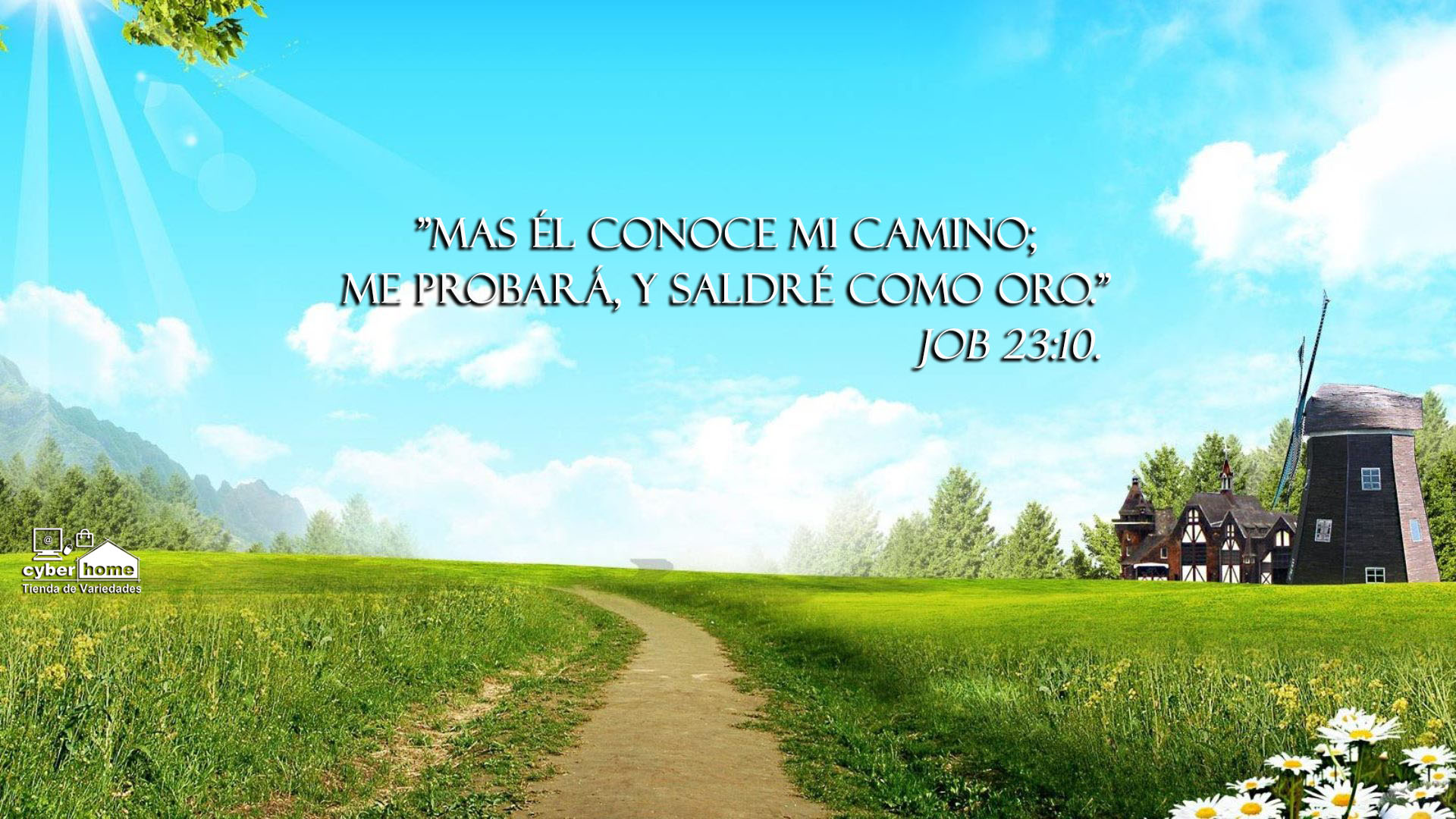 Jorge Lopez ᴺᵒᵛᵉˡᵃˢ