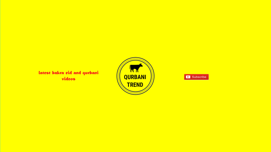 Qurbani Trend