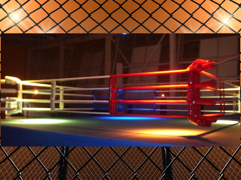 FIGHT WITHOUT RULES    -    BOXING