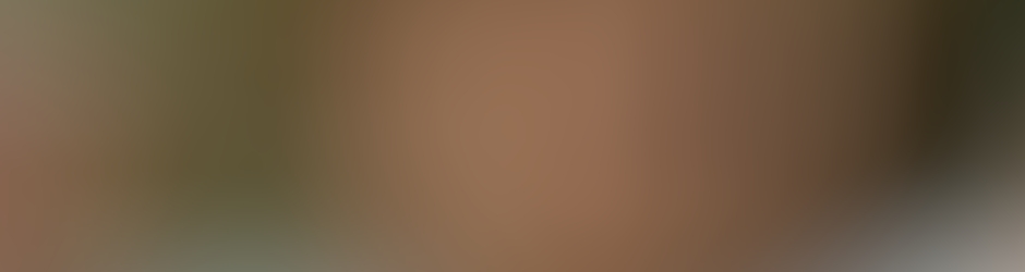 Marie-Noëlle Lienemann