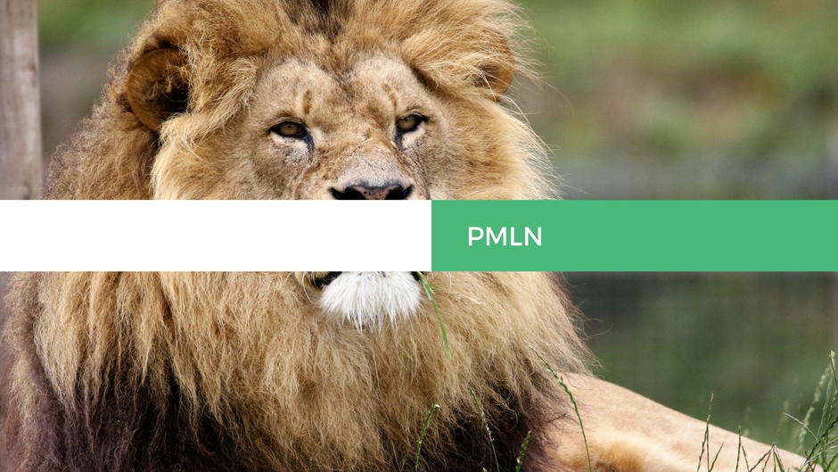 PMLN  TV