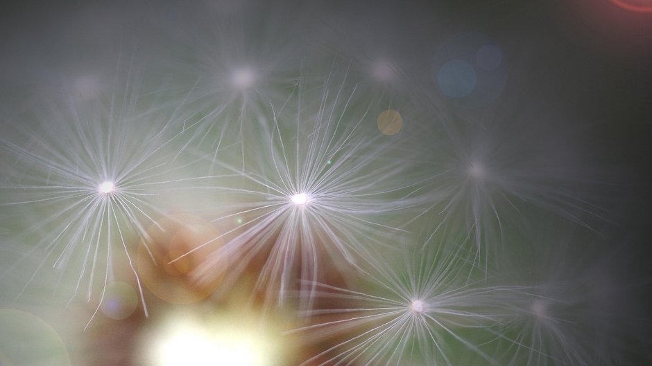 dm_1fd59e30c7fee1241f12ed7e8ac4f17c