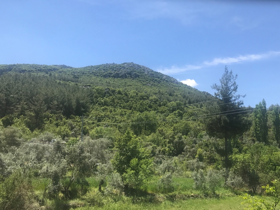 ゲームセンターCX