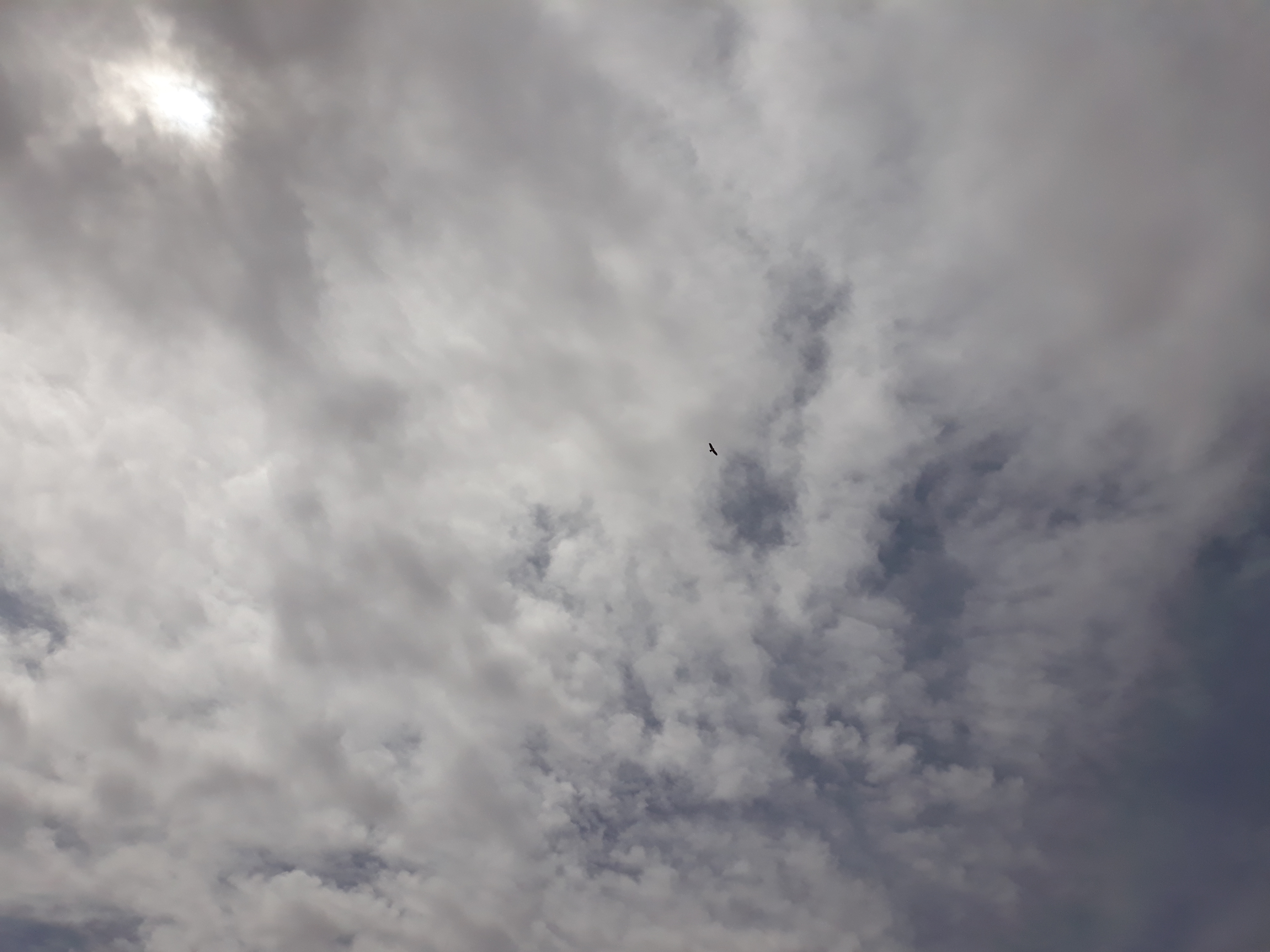 فوائد الفوائد