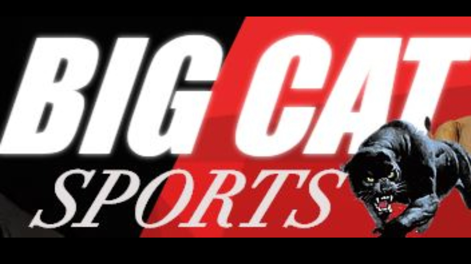 BIG CAT SPORTS