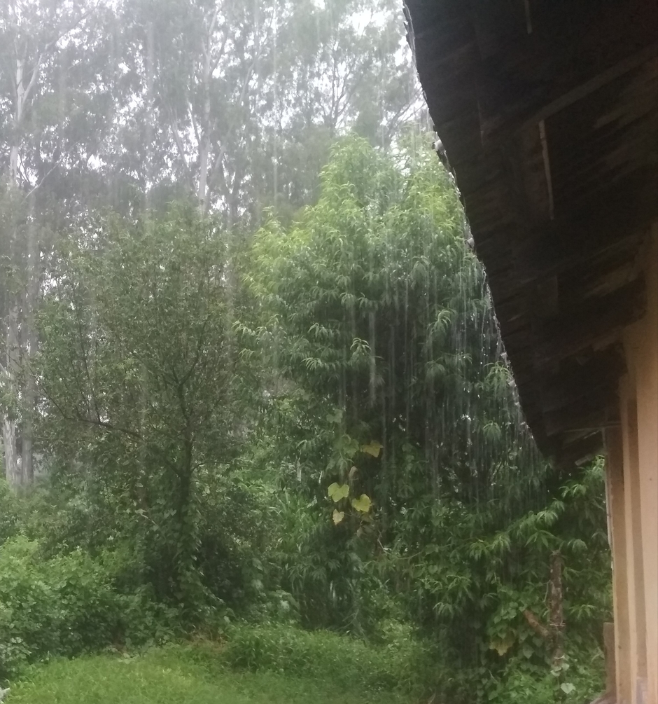 Latest song and Movie Whatsapp status ♥