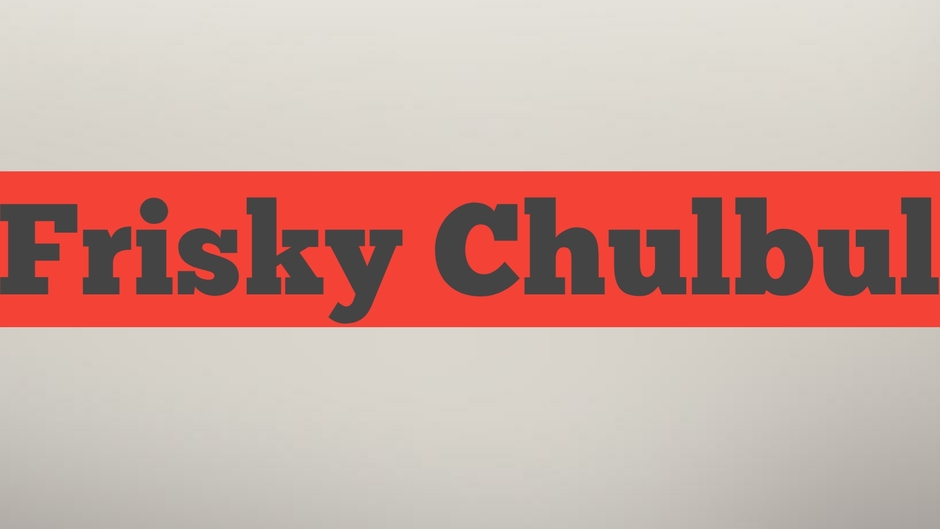 Frisky Chulbul