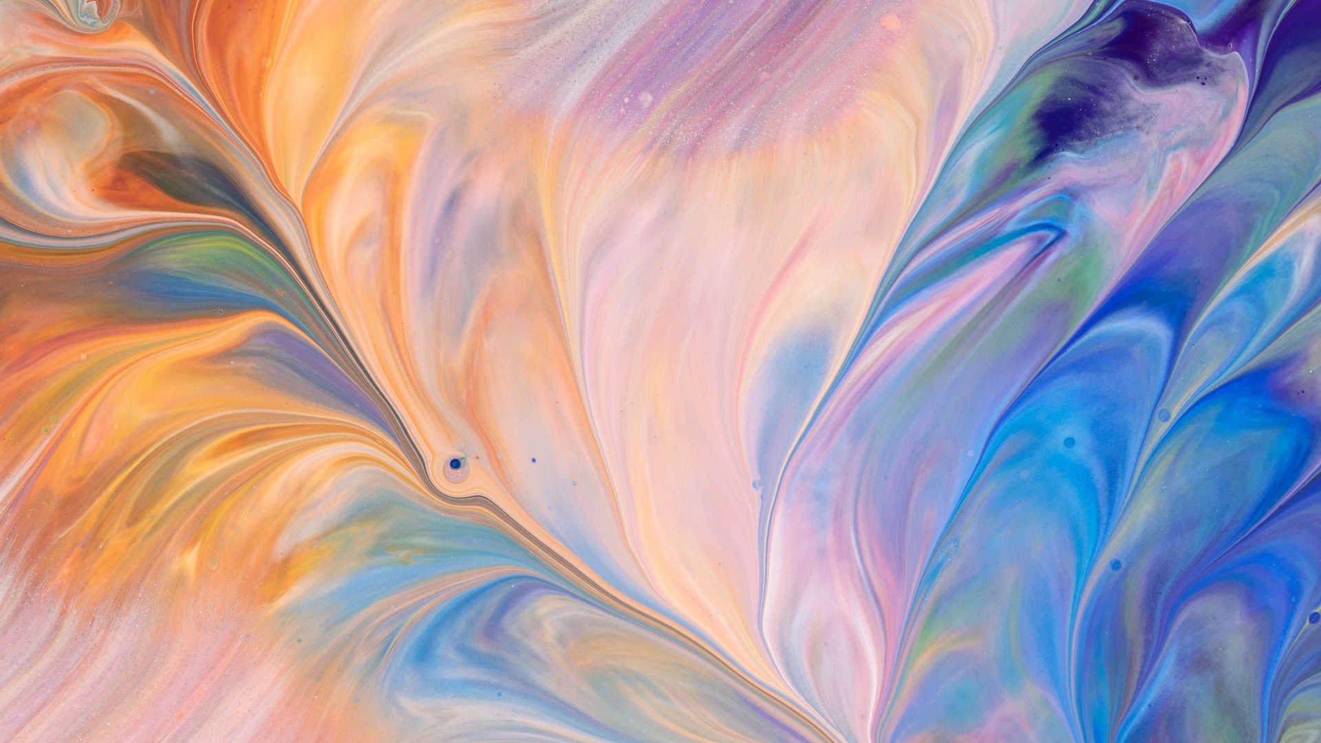 dm_d453ce162dbcf7263be3bc4caef2b600