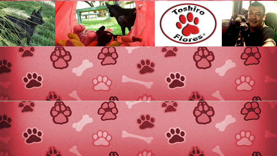 Toshiro Flores Oficial