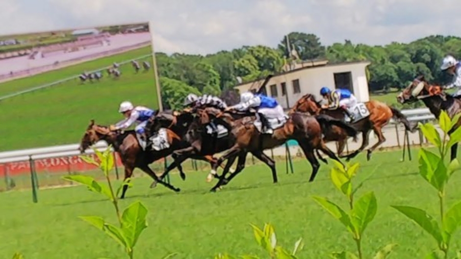 Caesarion（カエサリオン）