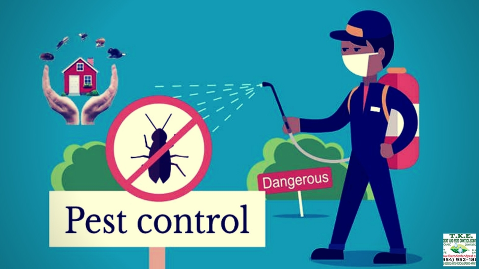 T.K.E. Rodent and Pest Control Services