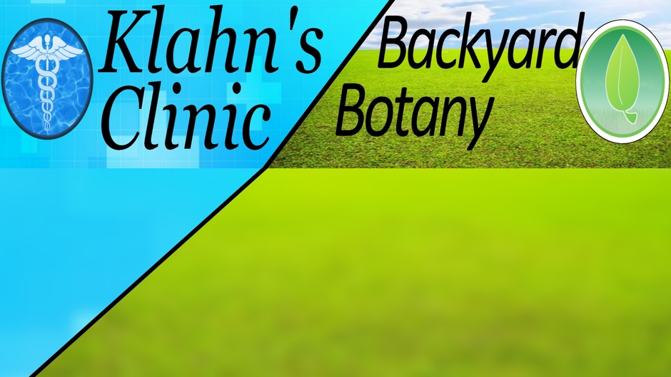 Klahn's Clinic