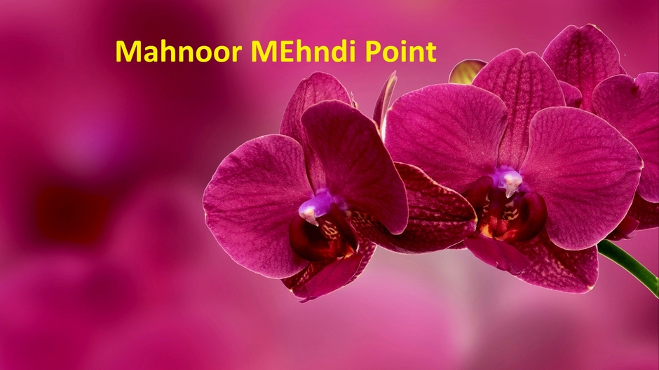 Mahnoor Mehndi Point