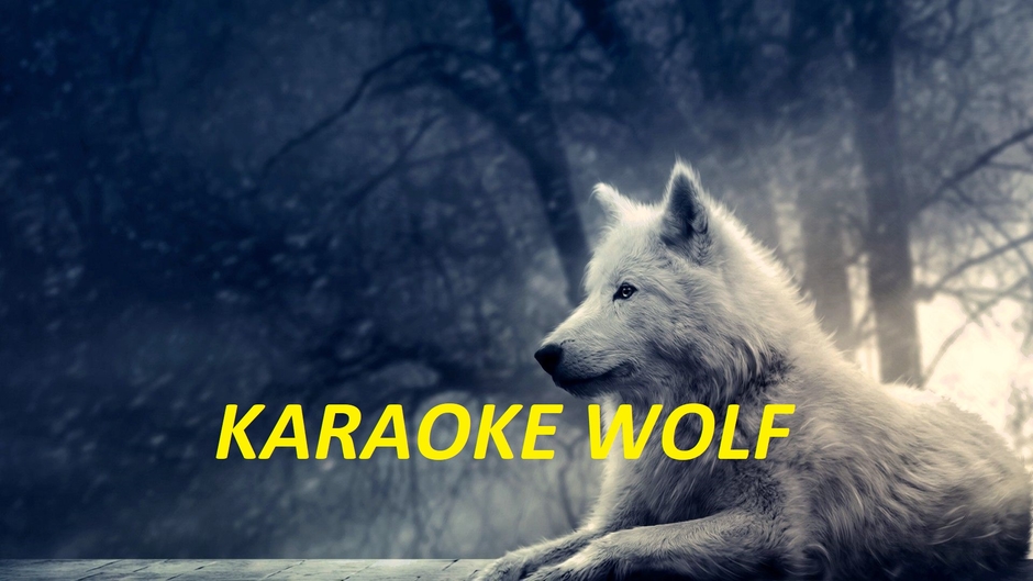 Karaoke_Wolf