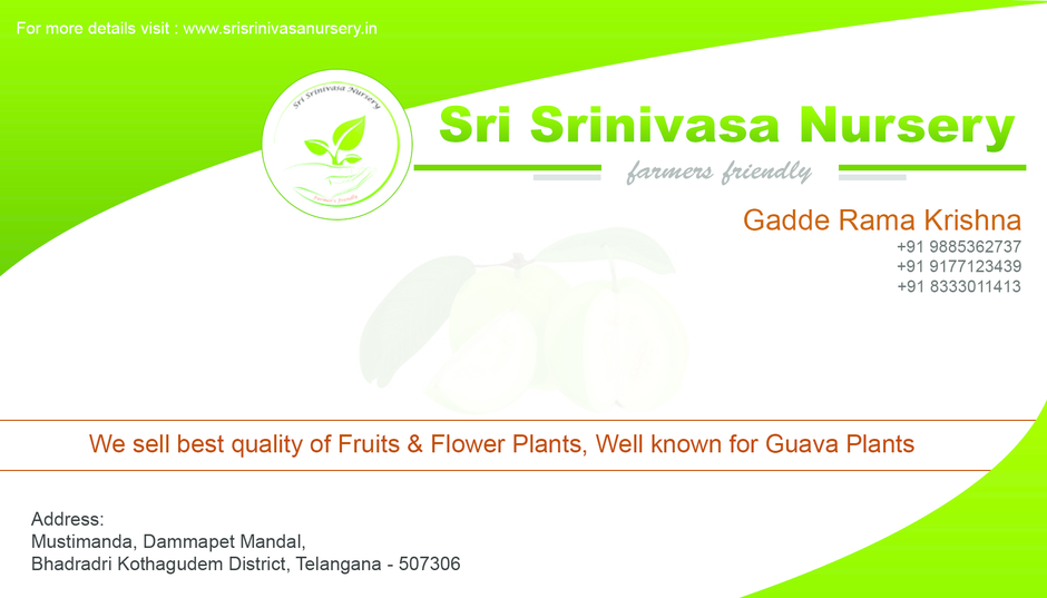Sri Srinivasa Nursery