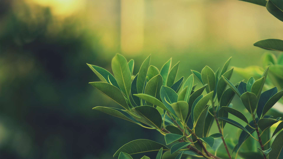 LakornThai ละครไทย