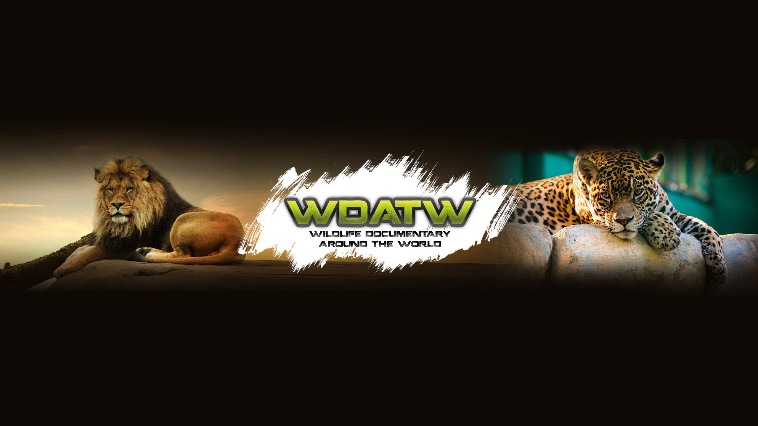 Wildlife Documentary Around The World✅