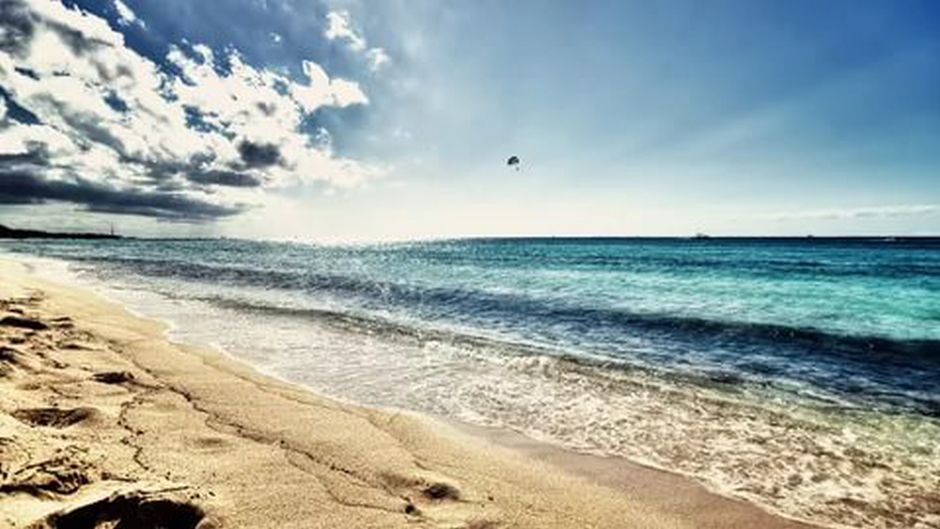 실시간카지노【- ★☆★7gd-205.com★☆★▷바카라사이트