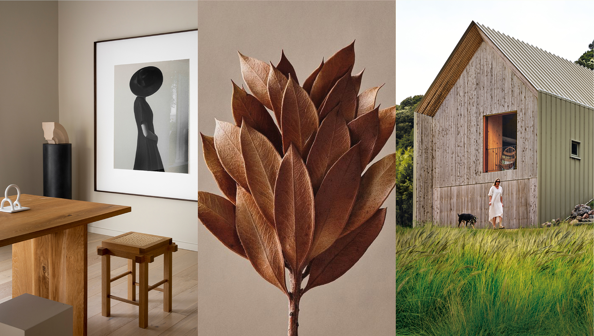 Revista Arquitectura y Diseño