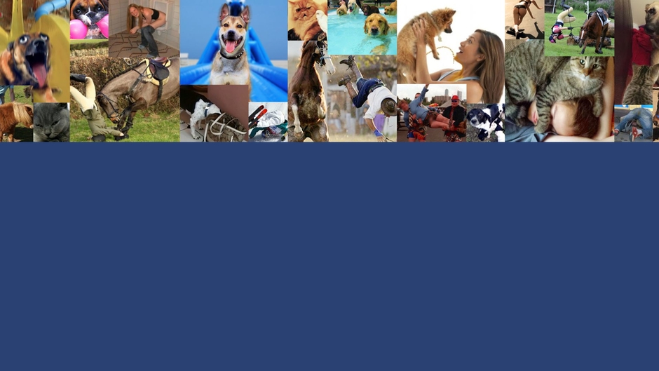 Phoenix Power Funny World